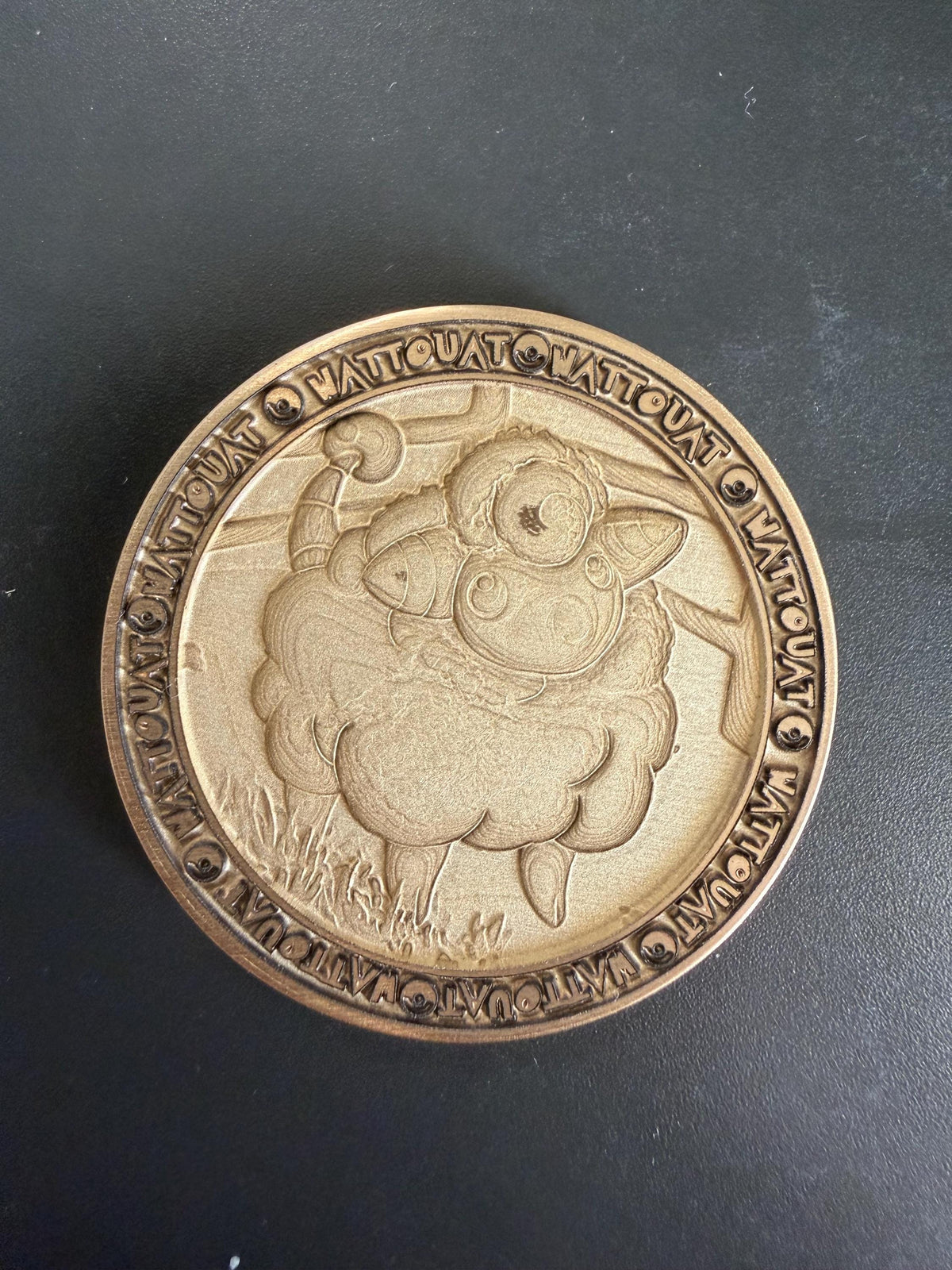 Engraved Brass Mareep Coin – 40mm Collectible with Optional Personalization