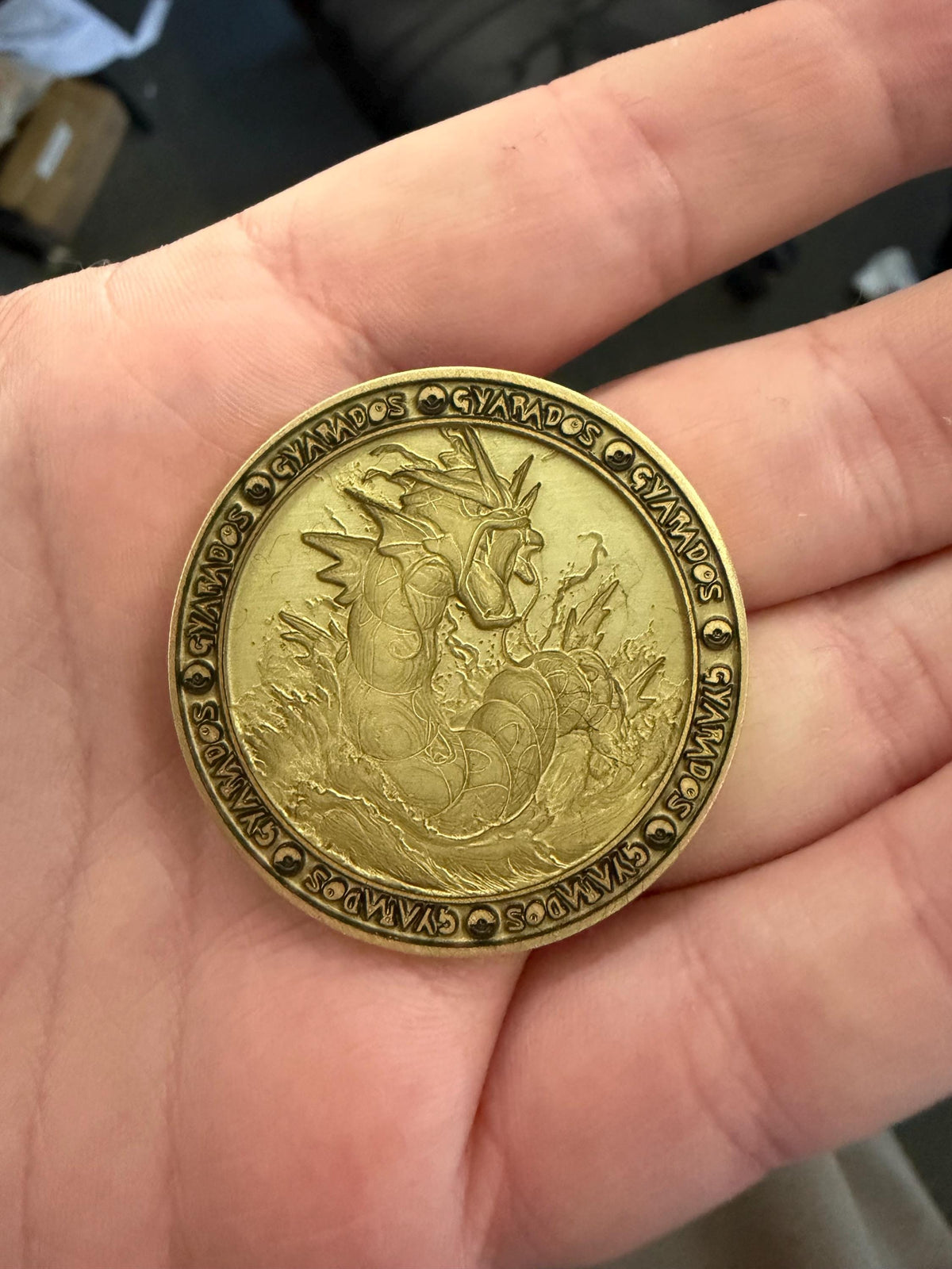 Engraved Brass Gyrados Coin – 40mm Collectible with Optional Personalization