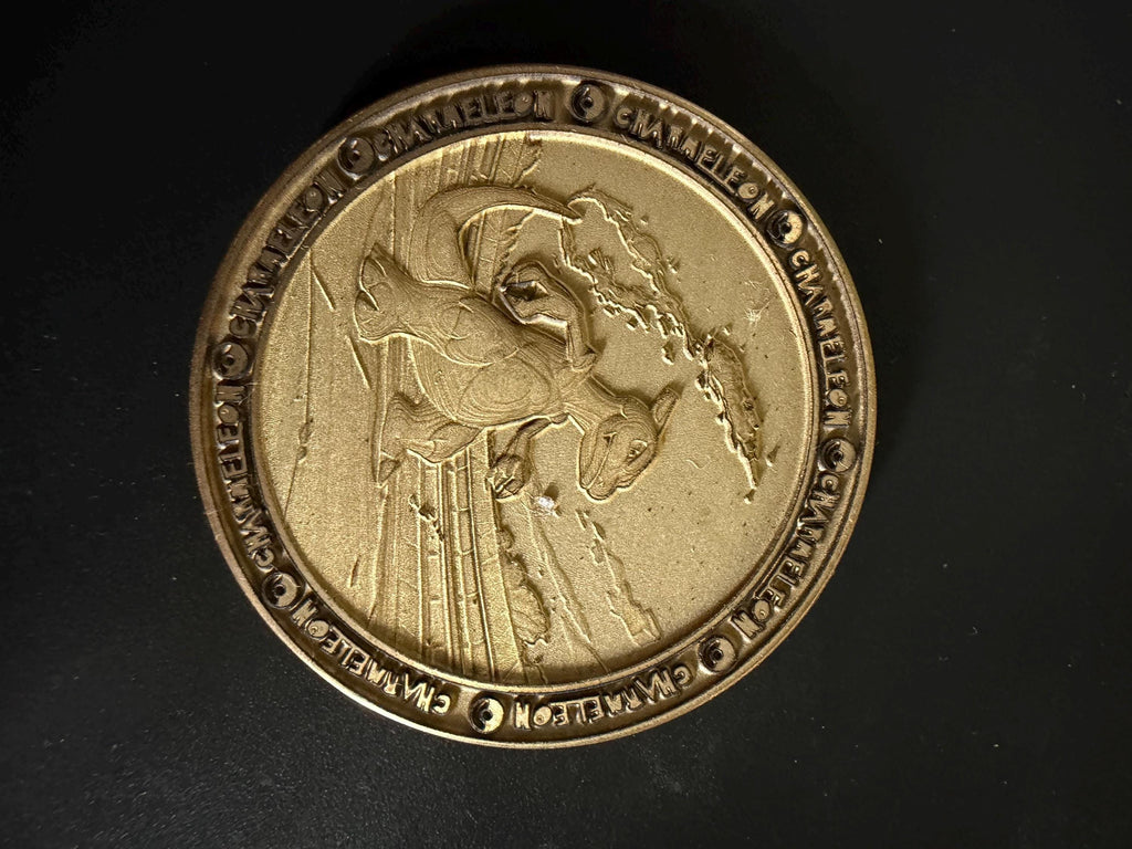 Charmander Evloution Brass Coin Set – 40mm Collectible with Optional Personalization