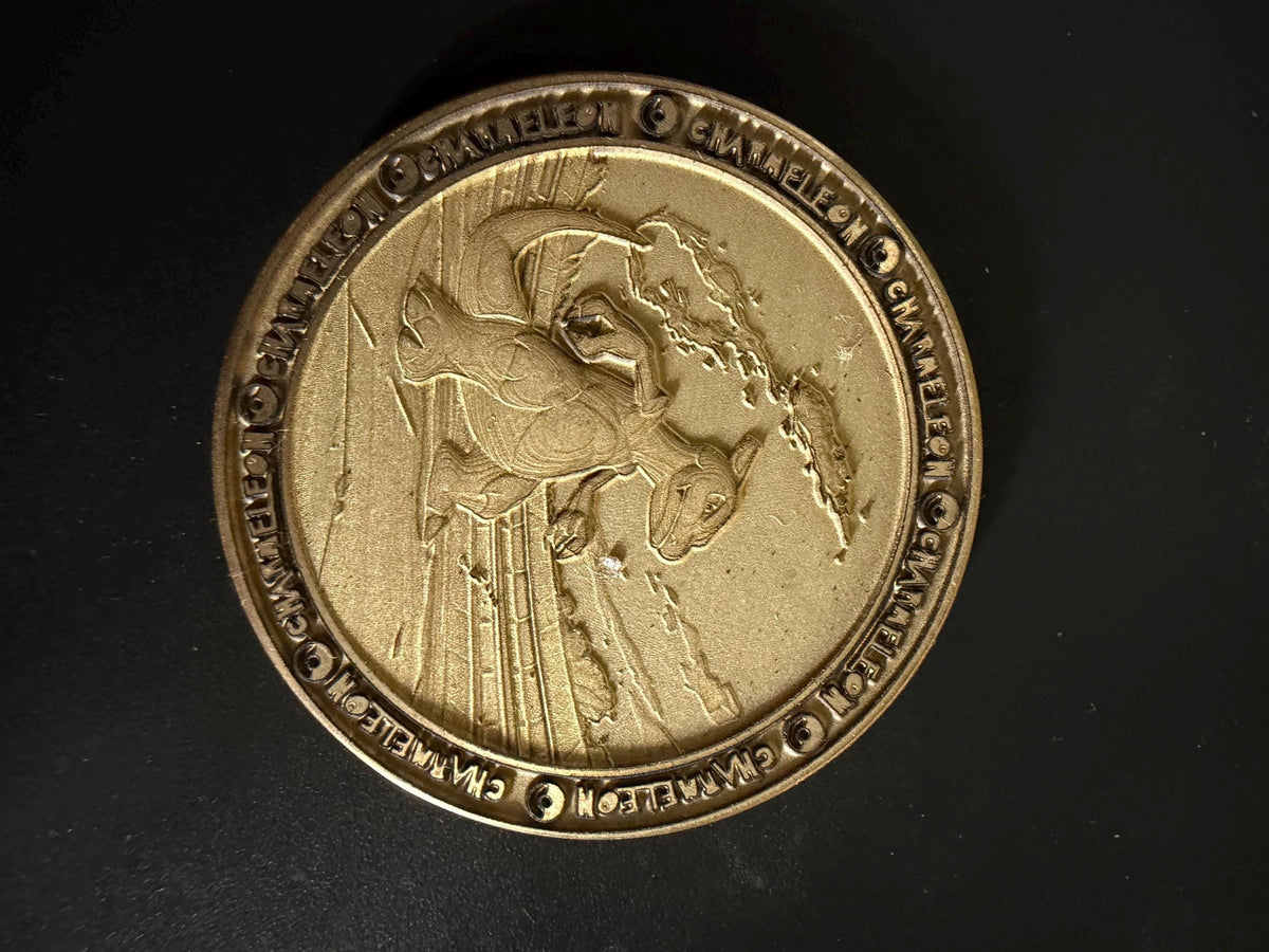 Charmander Evloution Brass Coin Set – 40mm Collectible with Optional Personalization